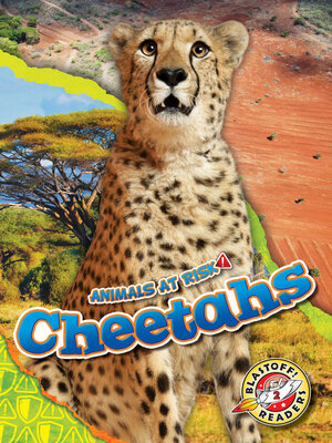 cover image of Cheetahs